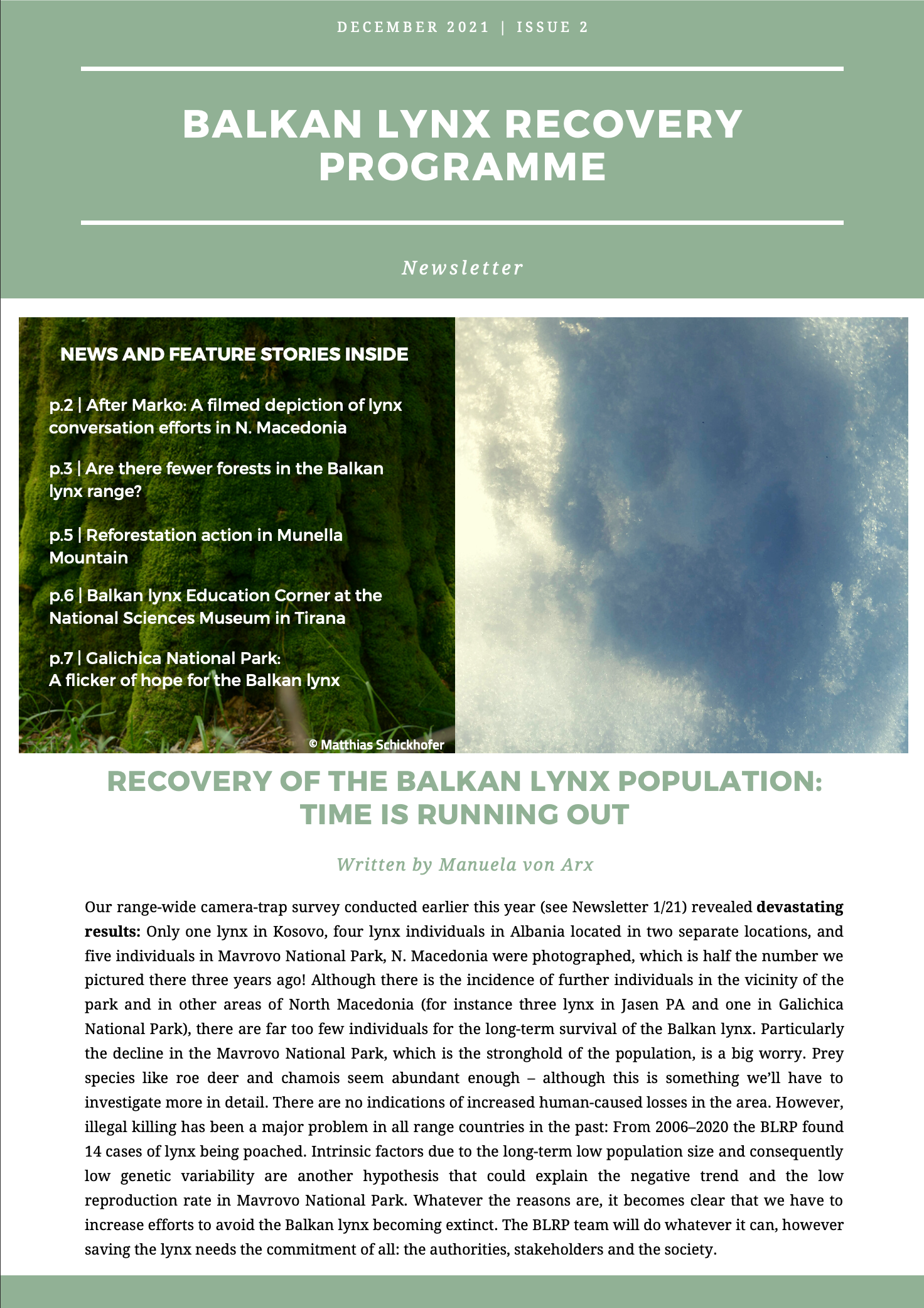 BALKAN LYNX RECOVERY PROGRAMME – Newsletter No. 2